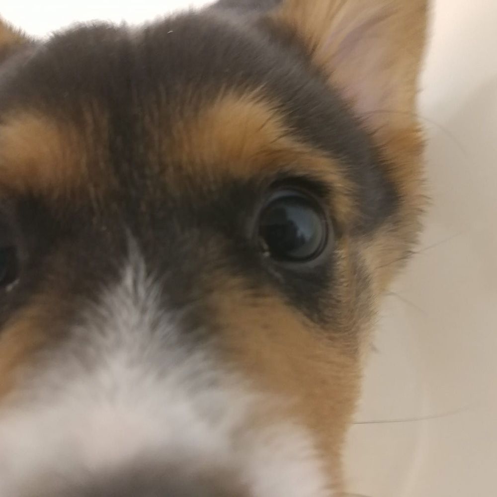 Meet your Posher, Stefanie